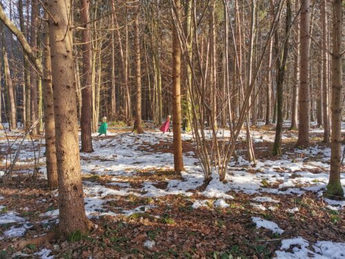 Gang durch den Elfenwald • Hoja skozi pravljični gozd (Foto: Pfarrarchiv Neuhaus/ Suha)