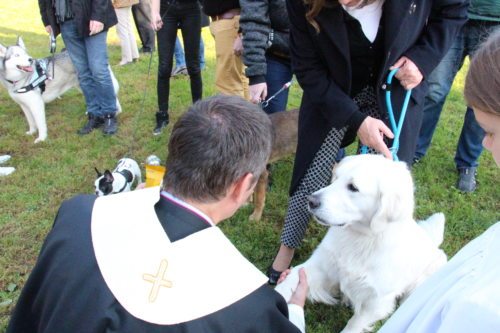 Jedes Tier und die Besitzerin/der Besitzer wurden auch einzeln gesegnet. (© Foto: Stadtpastoral )