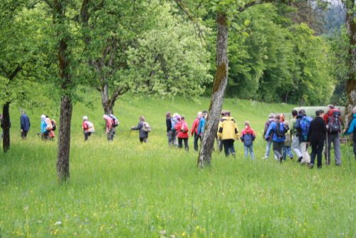 (© Foto: Bio Austria Kärnten) (© Foto: Bio Austria Kärnten)
