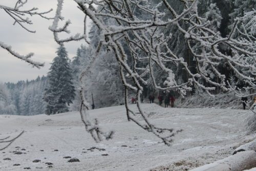  (© Foto: Auer/DSG Kärnten)