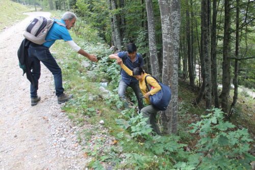 Gemeinsam wurden auch die schwierigsten Passagen gemeistert (© Auer/DSG Kärnten)