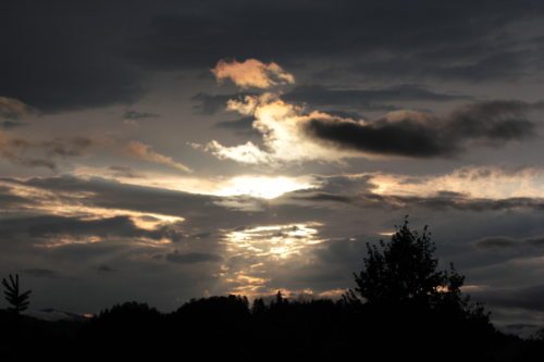 Licht und Schatten in unserem Lebene (© Foto: A. Lehner)