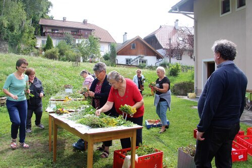 Im Pfarrgarten werden Kräuterstäuße gebunden (C) Brigitte Weber