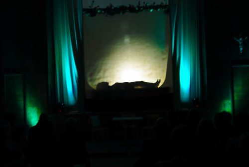 schlafendes Dornröschen (© Foto: kfb)