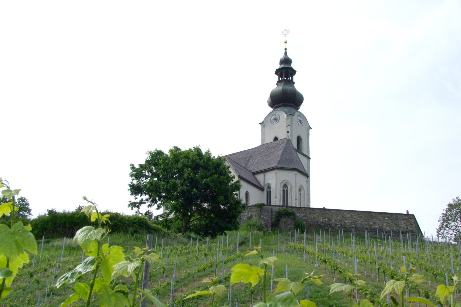 Pfarrkirche St. am Weinberg