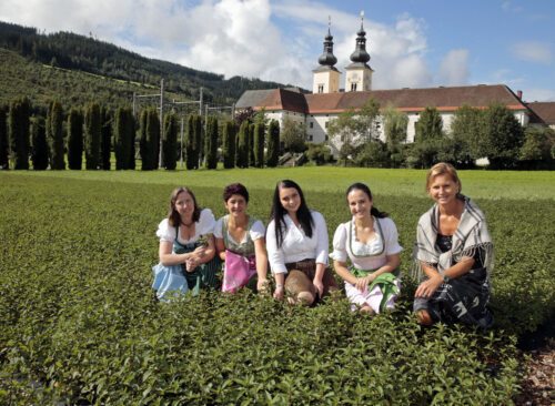 Kräutergarten in Gurk. Foto: Eggenberger