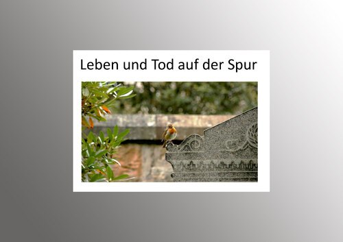 Bildunterschrift (Bildrechte sind zwingend anzugeben!)