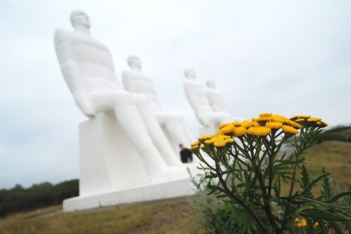 Bei Esbjerg an der Nordsee: Vier Männer schauen in die Ferne auf das weite Meer, zu ihren Füßen blühen Blumen. (© Foto: Internetredaktion - KH Kronawetter)