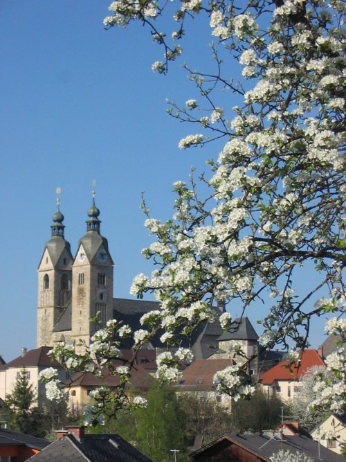 Maria Saal in Blüte (© Foto: Pfarre)