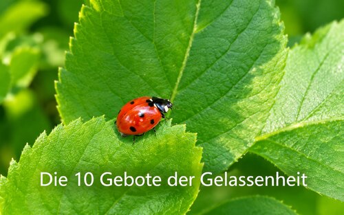 Bild zum Eintrag 'Bildungstreffen am Donnerstag'