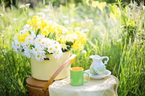 Cvetoča pomlad - Blumenwiese (Bild: Jill Wellington auf Pixabay) Cvetoča pomlad - Blumenwiese (Bild: Jill Wellington auf Pixabay)