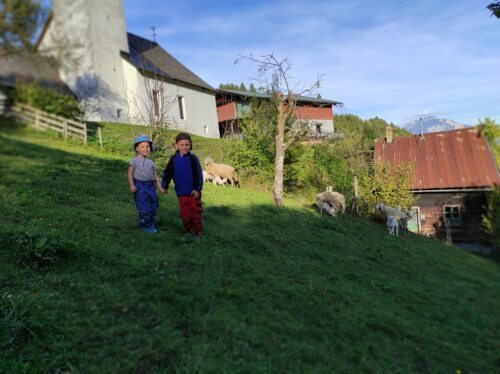 Simon in Johanna iz Dul pri Šmohorju rada pogledata na travnik pred hišo k ovcam. (Gotthardt)