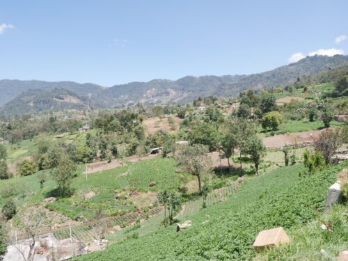 Blick ins westliche Hochland Guatemals (c) Eva Gaderer