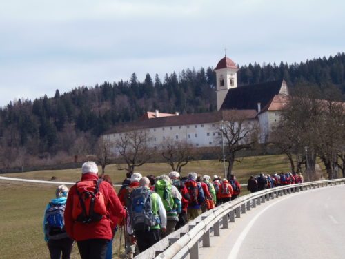 Vierberge Weg (© Foto: Monika Gschwandner-Elkins)