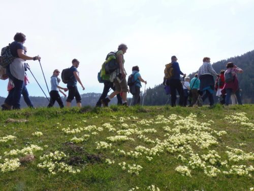 Unterwegs am Jakobsweg (© Foto: Monika Gschwandner-Elkins)