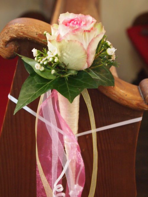 Rose (© Foto: Pirker) Rose (© Foto: Pirker)