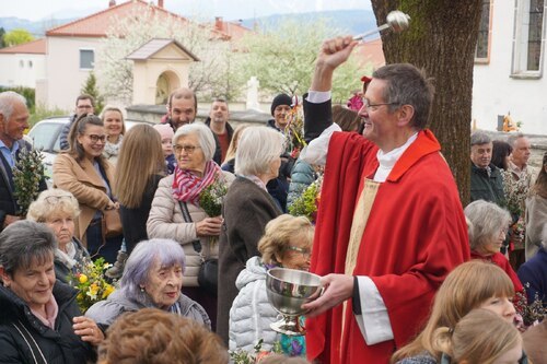 Am Palmsonntag erinnert die liturgische Farbe Rot an das Leiden Jesu. (Im Bild: Palmsonntagsliturgie mit Dompfarrer Peter Allmaier in Klagenfurt 2025) Foto: Stadtpastoral