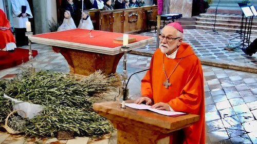 Bild zum Eintrag 'Bischof Marketz in Palmsonntagsliturgie: Gott schenkt uns immer wieder Neuanfänge'