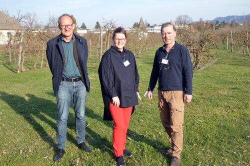 Vlnr: EOA Dr. Benedikt Nielsen (Pastoralratsvorsitzender Krankenhaus der Barmherzigen Brüder St. Veit/Glan, Seelsorge-Leiterin Mag. Elisabeth Vallant und OA Dr. Walter Müller, MSc (Pastoralratsvorsitzender Elisabethinen-Krankenhaus) - Foto: Barmherzige Brüder