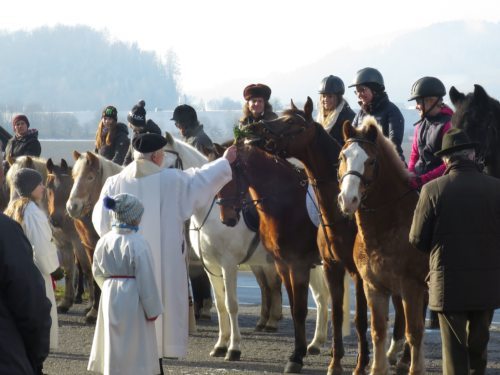 In vielen Kärntner Pfarren finden am 26. Dezember Pferdesegnungen (im Bild: Stefanisegnung in der Pfarre St. Donat) statt. Foto: Theres Berger In vielen Kärntner Pfarren finden am 26. Dezember Pferdesegnungen (im Bild: Stefanisegnung in der Pfarre St. Donat) statt. Foto: Theres Berger