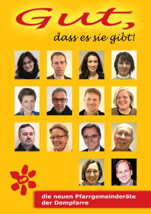 Die neu gewählten PGRs der Dompfarre. (© Foto: Dompfarre)