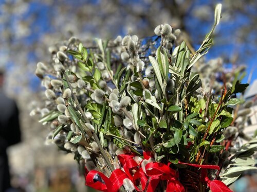 Mit dem Palmsonntag beginnt die Karwoche (Foto: Binder/Stadtpastoral)