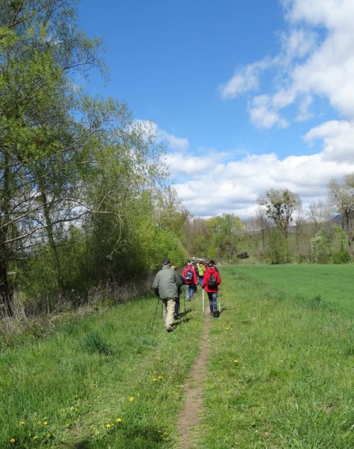 Auf dem Weg (© Foto: fotomw)
