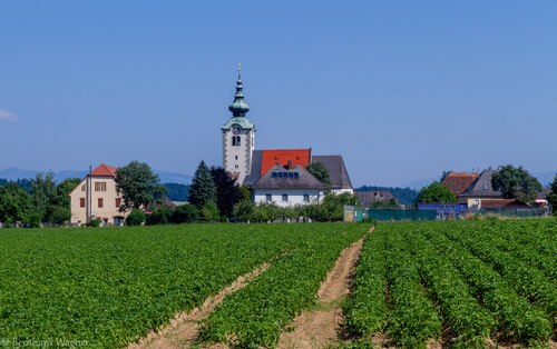 Blick zur Pfarr- und Wallfahrtskirche Maria Rojach während der Fronleichnamsprozession 2025 (© Foto: Mag. Bernhard Wagner).