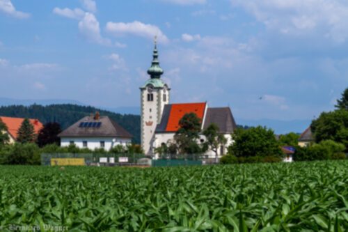Blick zur Pfarr- und Wallfahrtskirche Maria Rojach (Bildrechte sind zwingend anzugeben!) Blick zur Pfarr- und Wallfahrtskirche Maria Rojach (Bildrechte sind zwingend anzugeben!)