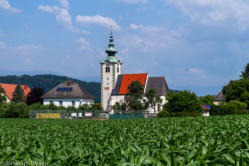 Blick zur Pfarr- und Wallfahrtskirche Maria Rojach  (Bildrechte sind zwingend anzugeben!)