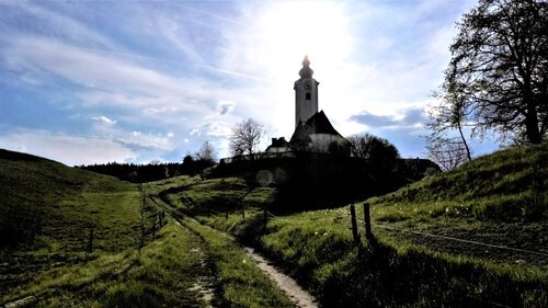 Radiše (foto: Justi Hribernik)