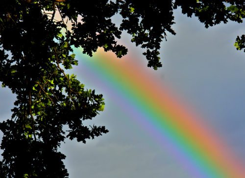 Pfarren bringen Kirche vor Ort zum Leuchten (© Foto: fotomax)