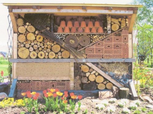 NaturgartenPraxis (© Foto: Helga Riepl)