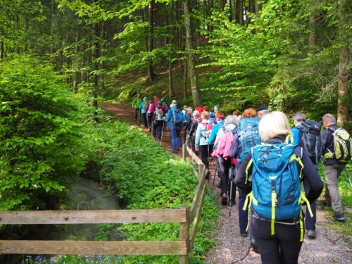 Romanja so vse bolj priljubljena (Referat za dušno pastirstvo turistov) Romanja so vse bolj priljubljena (Referat za dušno pastirstvo turistov)