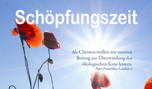 Die „Schöpfungszeit“ dauert vom Tag der Schöpfung am 1. Sept. bis zum Gedenktag des Hl. Franz von Assisi am 4. Okt. (© Foto: Nina Vasold, Referat für Schöpfungsverantwortung) Die „Schöpfungszeit“ dauert vom Tag der Schöpfung am 1. Sept. bis zum Gedenktag des Hl. Franz von Assisi am 4. Okt. (© Foto: Nina Vasold, Referat für Schöpfungsverantwortung)