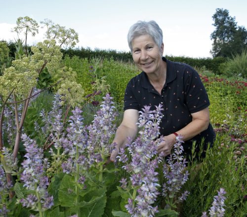 Unterwegs im Kräuterland von Romana Seunig (© Foto: Gert Eggenberger)