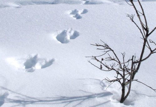 Kje so naši sledovi? (© Foto: pixelio.de)