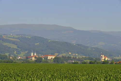 Domkirche und Ensemble der Propstei und Residenz (© Foto: Gerfried Sitar)