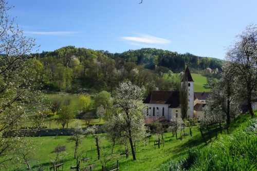 Blick auf die Erhardikirche in St. Paul (Foto: Stift St. Paul im Lavanttal)