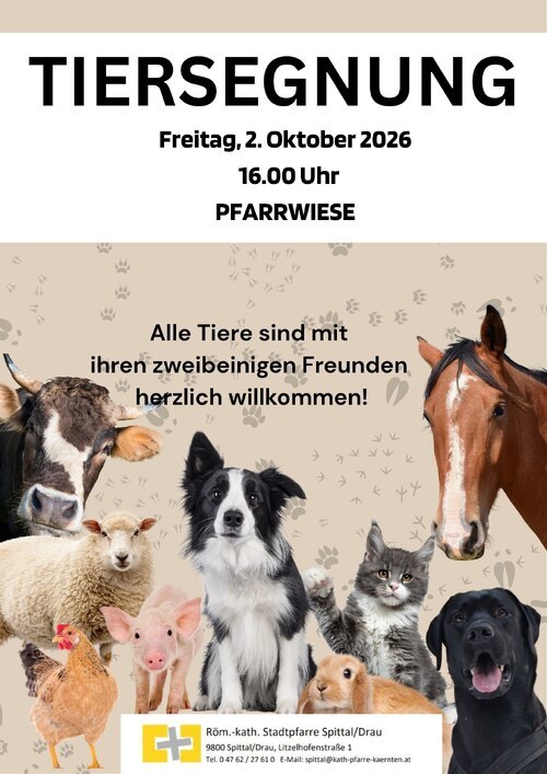 Bildunterschrift (Bildrechte sind zwingend anzugeben!)