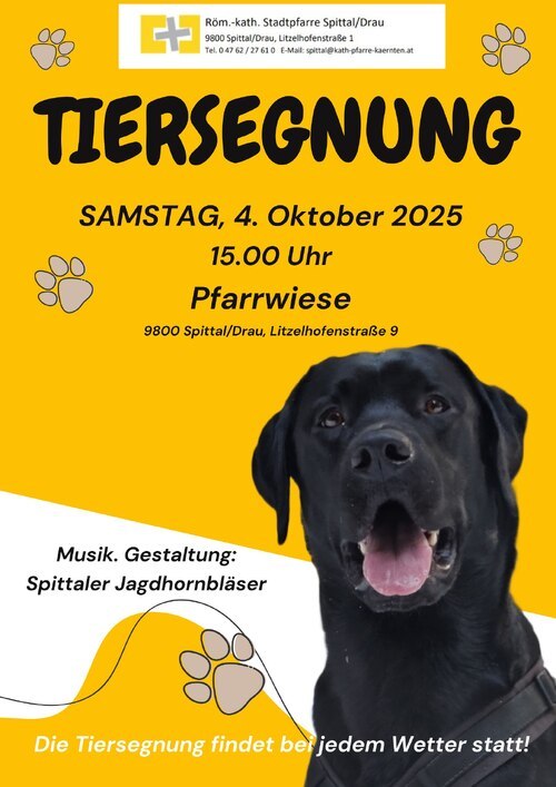Bildunterschrift (Bildrechte sind zwingend anzugeben!)