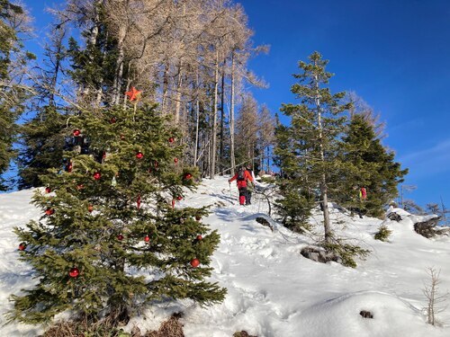 Bild zum Eintrag 'Zum Jahresausklang ...'