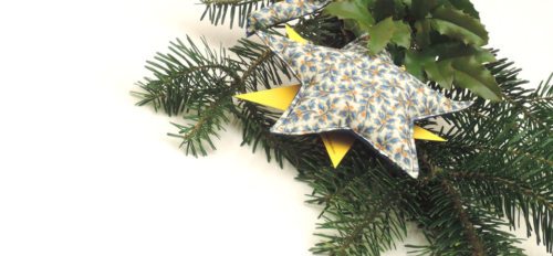 Im Rahmen dieses Adventprojektes werden Menschen an ihren Arbeitsplätzen, in Warteräumen, auf der Straße oder in der Freizeit überrascht. An Orten, wo sie nicht damit rechnen, werden sie an das “Wunder von Weihnachten“ erinnert. - Ein mitgebrachter Stern auf einem Tannenzweig soll daran erinnern. (© Foto: KH Kronawetter / Internetredaktion) Im Rahmen dieses Adventprojektes werden Menschen an ihren Arbeitsplätzen, in Warteräumen, auf der Straße oder in der Freizeit überrascht. An Orten, wo sie nicht damit rechnen, werden sie an das “Wunder von Weihnachten“ erinnert. - Ein mitgebrachter Stern auf einem Tannenzweig soll daran erinnern. (© Foto: KH Kronawetter / Internetredaktion)