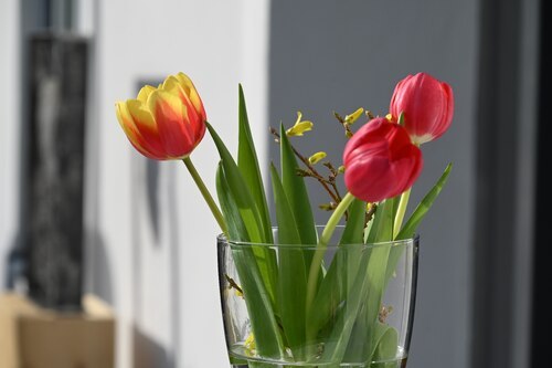 Bildunterschrift (Bildrechte sind zwingend anzugeben!)