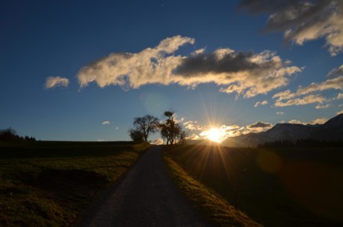 ... lass mich willig in das Dunkel treiben (© Foto: UM)