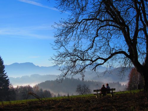 Danke an das Leben (© Foto: UM)