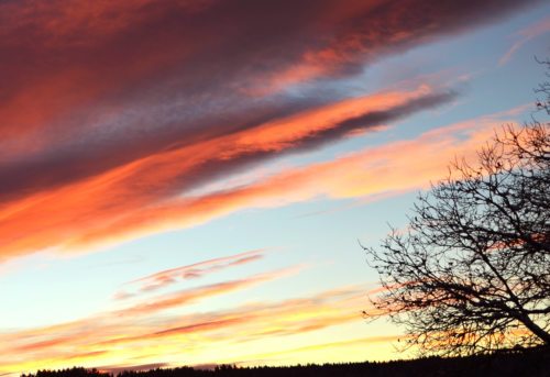 Ich möchte den Himmel mit Händen fassen ... (© Foto: UM)