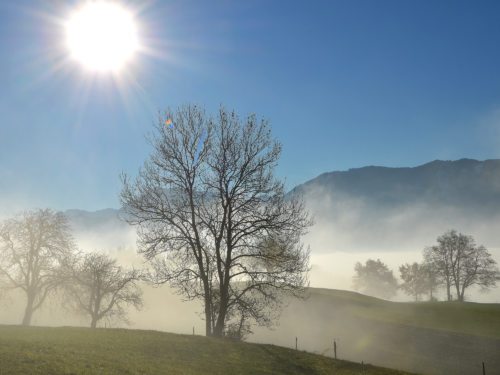 „Meine Zeit steht in deinen Händen.“ Psalm 31/16  (© Foto: UM)