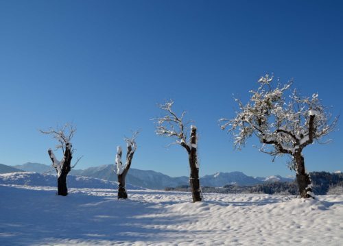 Ich bin Licht und weiß um die Schatten (© Foto: UM)