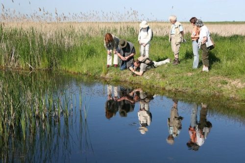 Aus Liebe zu Mensch und Natur - der Naturwissenschaftliche Verein Kärnten